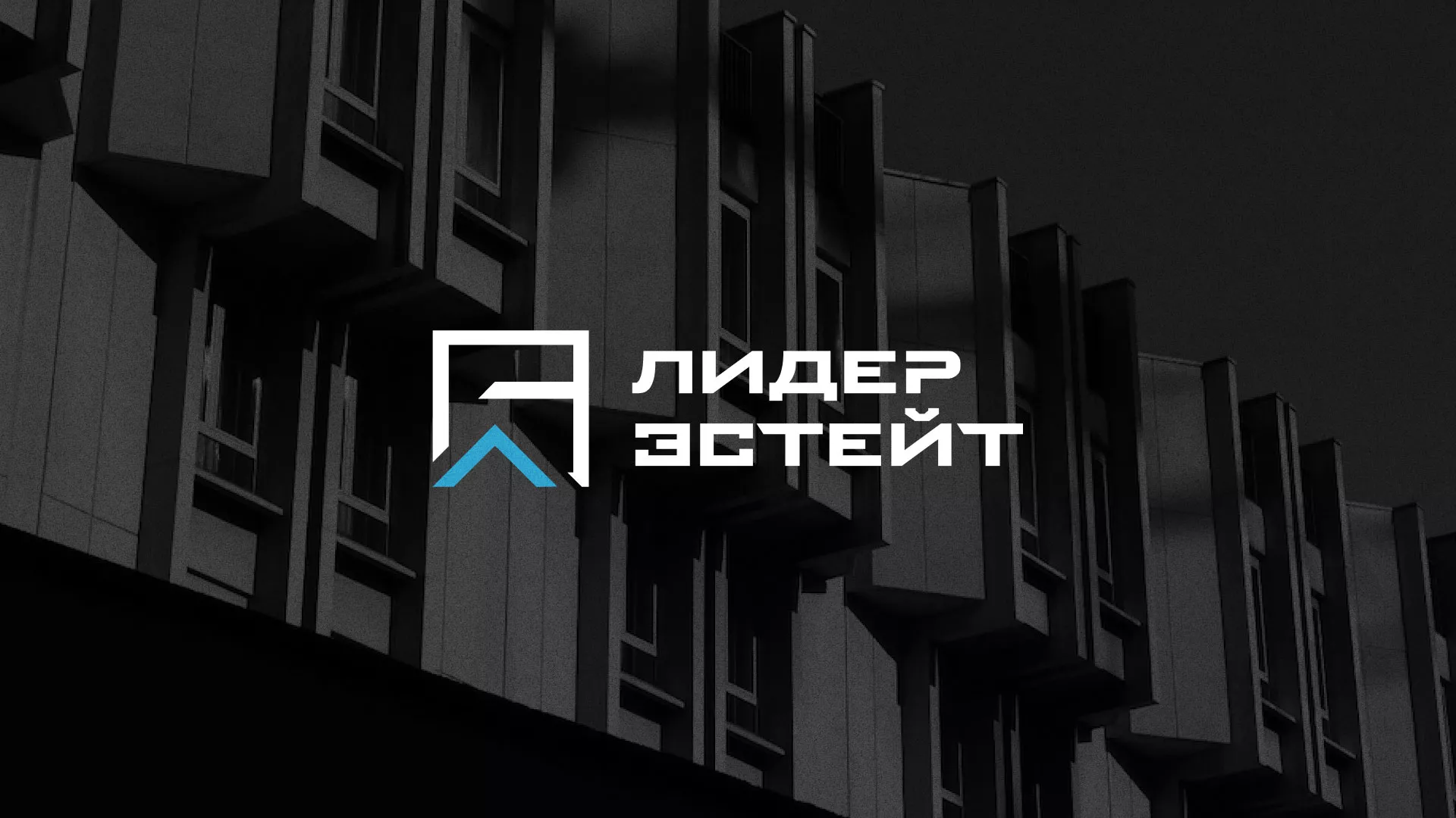 Разработка логотипа агентства недвижимости «Лидер Эстейт» в Абинске